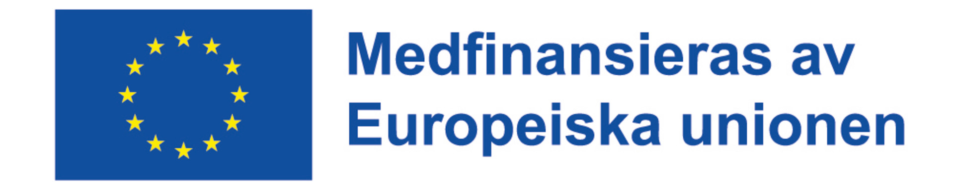 logotyp EU