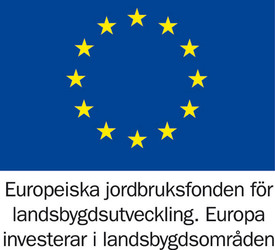 Logotyp: Europeiska jordbruksfonden för landsbygdsutveckling Europa investerar i landsbygdsområden
