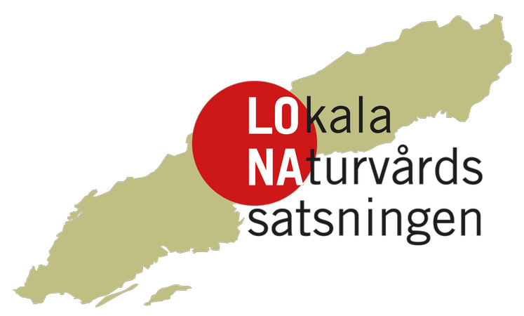 LONA logotyp