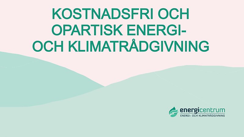 två personer som tittar på en datorskärm (AI-genererad)