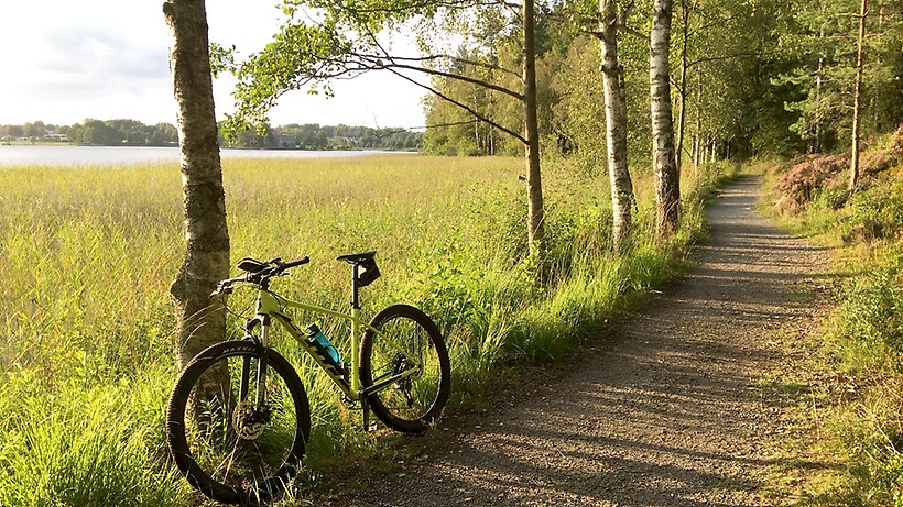 Barn cyklar på skogsstig