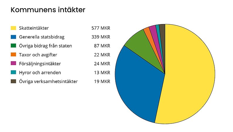 Cirkeldiagram som visar intäker för 2025