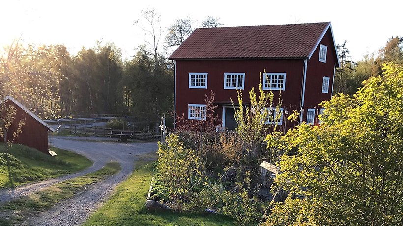 Trädgård framför byggnaden
